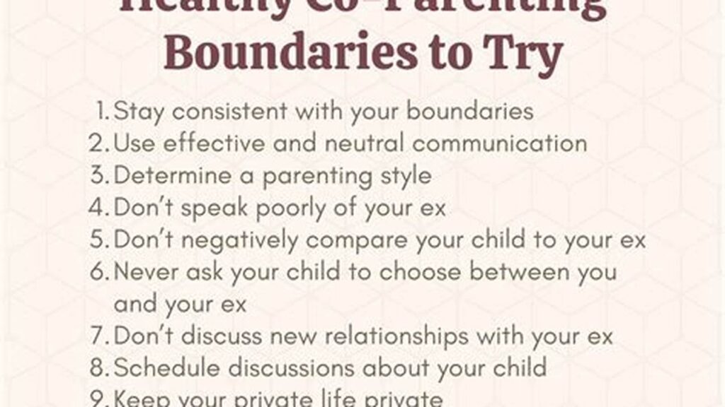 Successful Co,Parenting Strategies for Divorced Parents